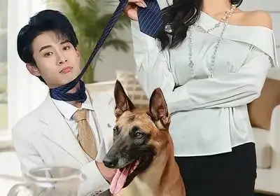 变成狗后，被女上司捡回家了（57集）夏已傲$黄宁馨海报