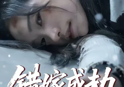 错嫁成劫（60集）王向志＆洪佳宁海报