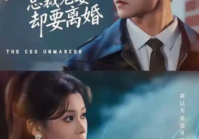 聚会亮出身份，总裁老婆却要离婚（81集）梅子健＆任柏玉海报