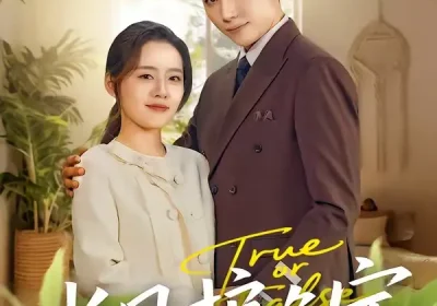 长风护晚宁（59集）谢佳成＆余俪海报