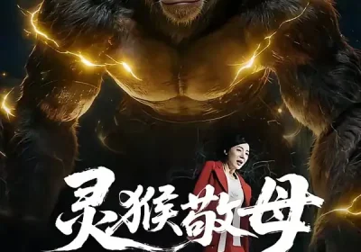 灵猴敬母（50集）余果＆曹禹澄海报