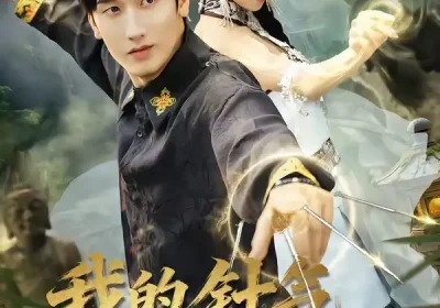 我的针气藏不住了（69集）王彬茗$毛宽仁海报