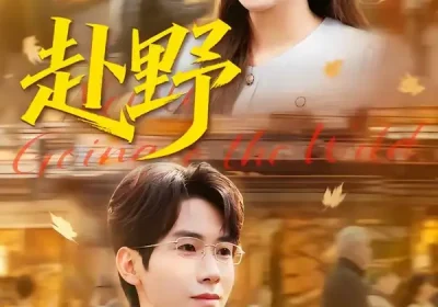 赴野（40集）宜樊＆丁珂丹海报