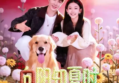 向阳知夏时（80集）秦琛琛＆贝贝海报