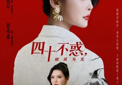 四十不惑，破茧为光（48集）李明＆李彤年海报