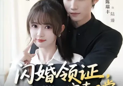 闪婚领证，陆先生的宠妻日常（86集）陈瑞丰＆查祎琛海报