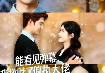 能看见弹幕，我救赎了偏执大佬（80集）胡可欣＆姜云起海报