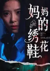 妈妈的绣花鞋（40集）海报