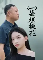 一朵烂桃花（25集）海报