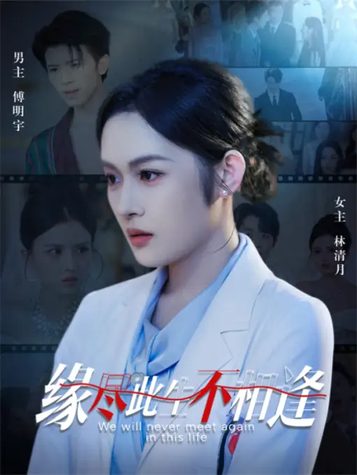 缘尽此生不相逢（30集）海报