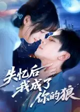 失忆后我成了你的狼（70集）何连飞海报
