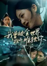 我曾被全世界推开唯独你（65集）谢炎风海报