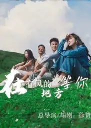 在有风的地方等你（32集）海报