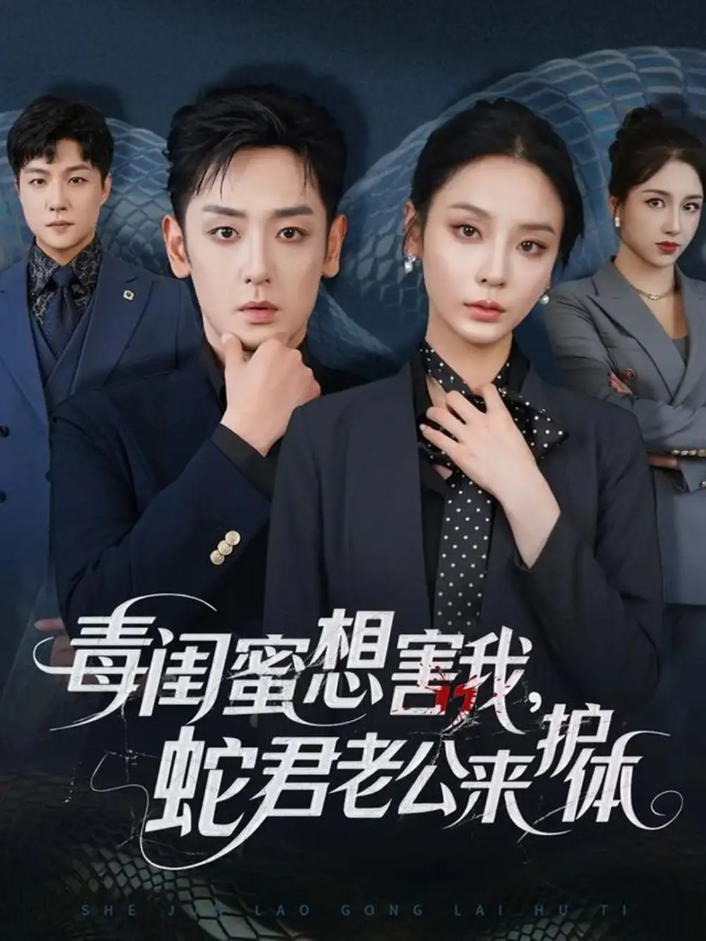 毒闺蜜想害我蛇君老公来护体（55集）向婧怡＆向昊海报