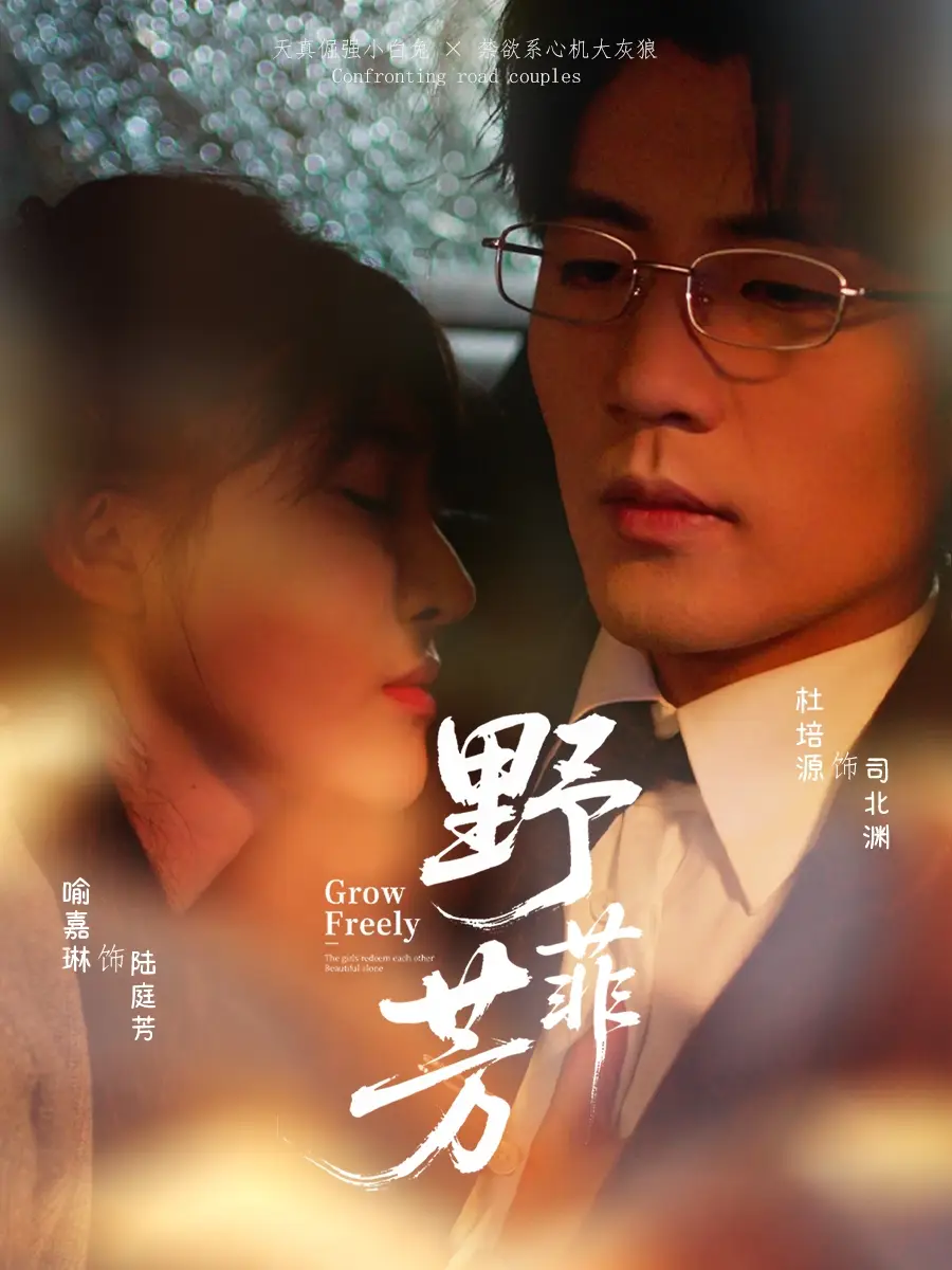 野芳菲（60集）喻嘉琳＆杜培源海报