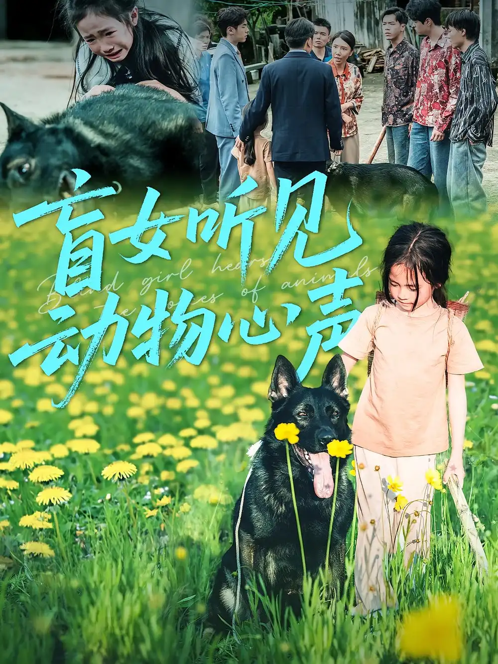 盲女听见动物心声（61集）海报
