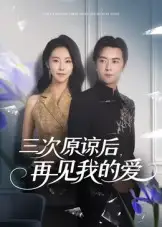 三次原谅后再见我的爱（80集）袁宁海报
