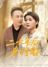 二十年后来闪婚（60集）赵晶海报