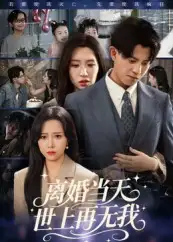 离婚当天世上再无我（60集）董劭辉海报