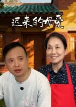 迟来的母爱（42集）宋军海报