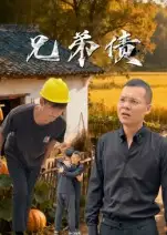 兄弟债（18集）饶露海报