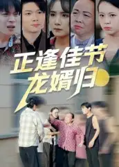 正逢佳节龙婿归（42集）王鹏赫&王馨海报
