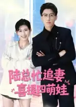 陆总忙追妻喜提四萌娃（60集）杨晓婷海报