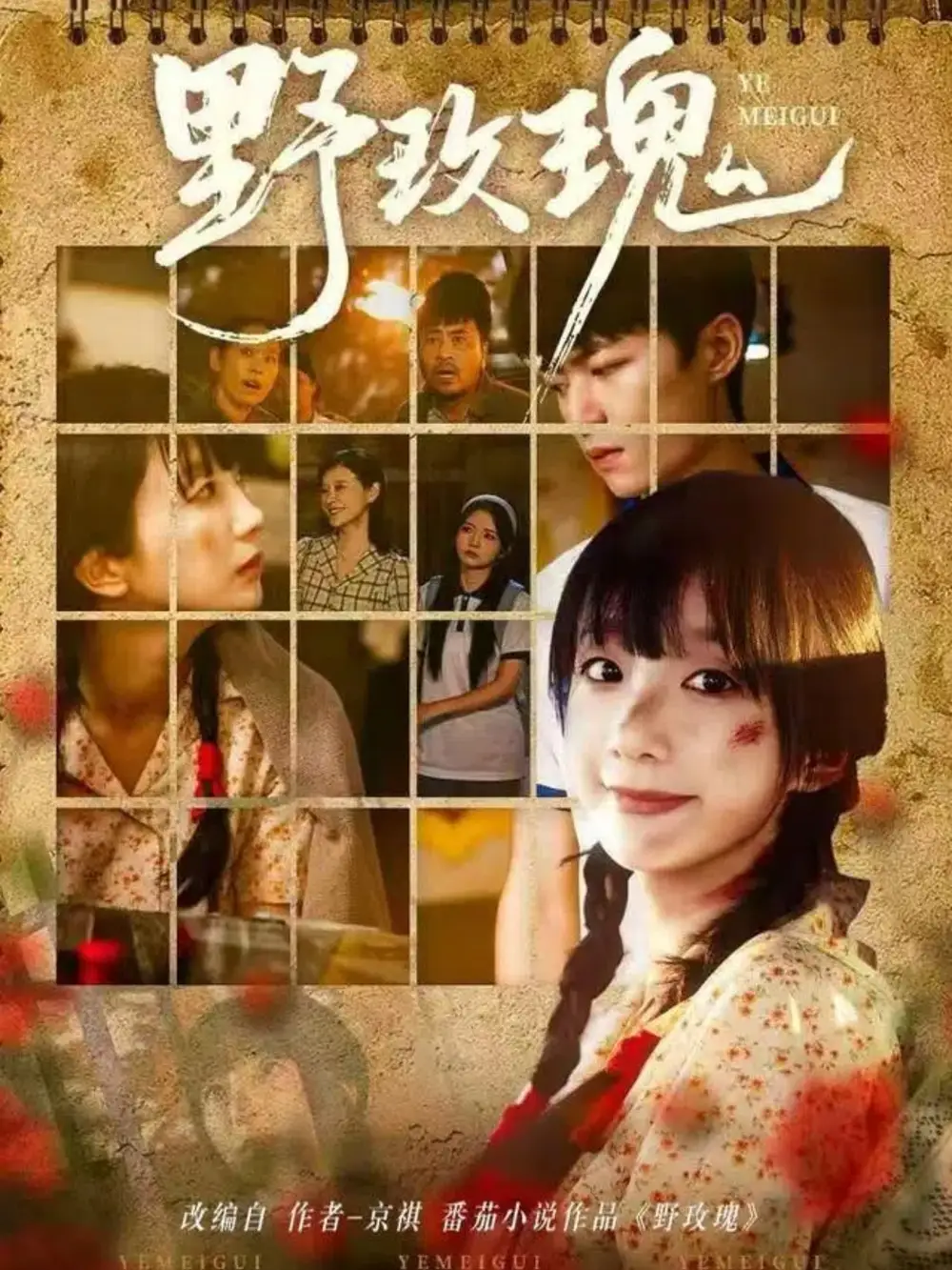 野玫瑰（82集）钊瑞＆象韵洁海报