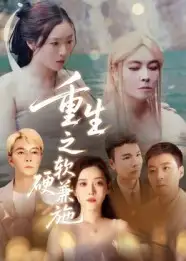 重生之软硬兼施（41集）蒋凌海报