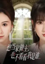 想当家做主，也不看看我是谁（60集）夏天琪&唐阳海报