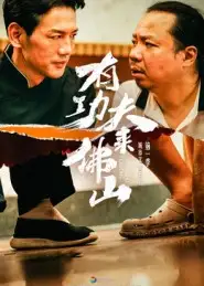 有功夫来佛山(12集)董崇华&蔡雪晴高清海报图片 有功夫来佛山(12集)董崇华&蔡雪晴海报