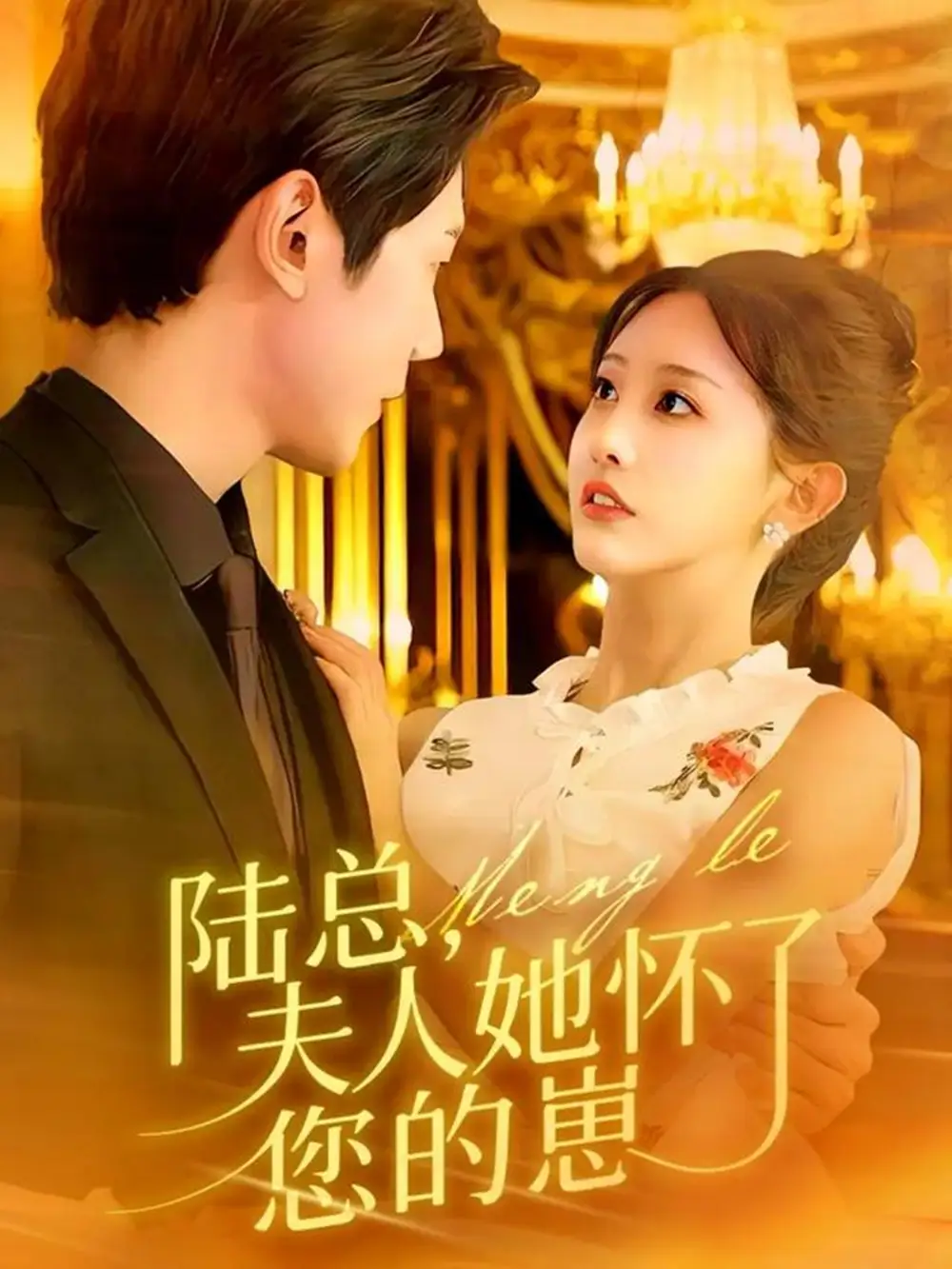 陆总，夫人她怀了您的崽（89集）何连飞＆李艾笑海报