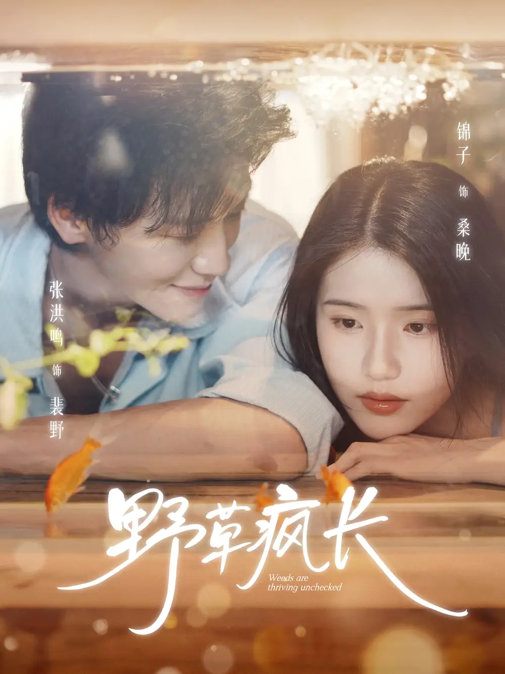 野草疯长(71集)张洪鸣&锦子高清海报图片 野草疯长(71集)张洪鸣&锦子海报