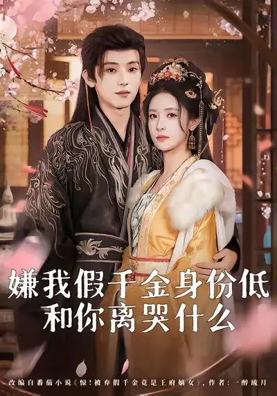 嫌我假千金身份低,和你离哭什么(120集)宋益凡&王思瑾高清海报图片 嫌我假千金身份低,和你离哭什么(120集)宋益凡&王思瑾海报