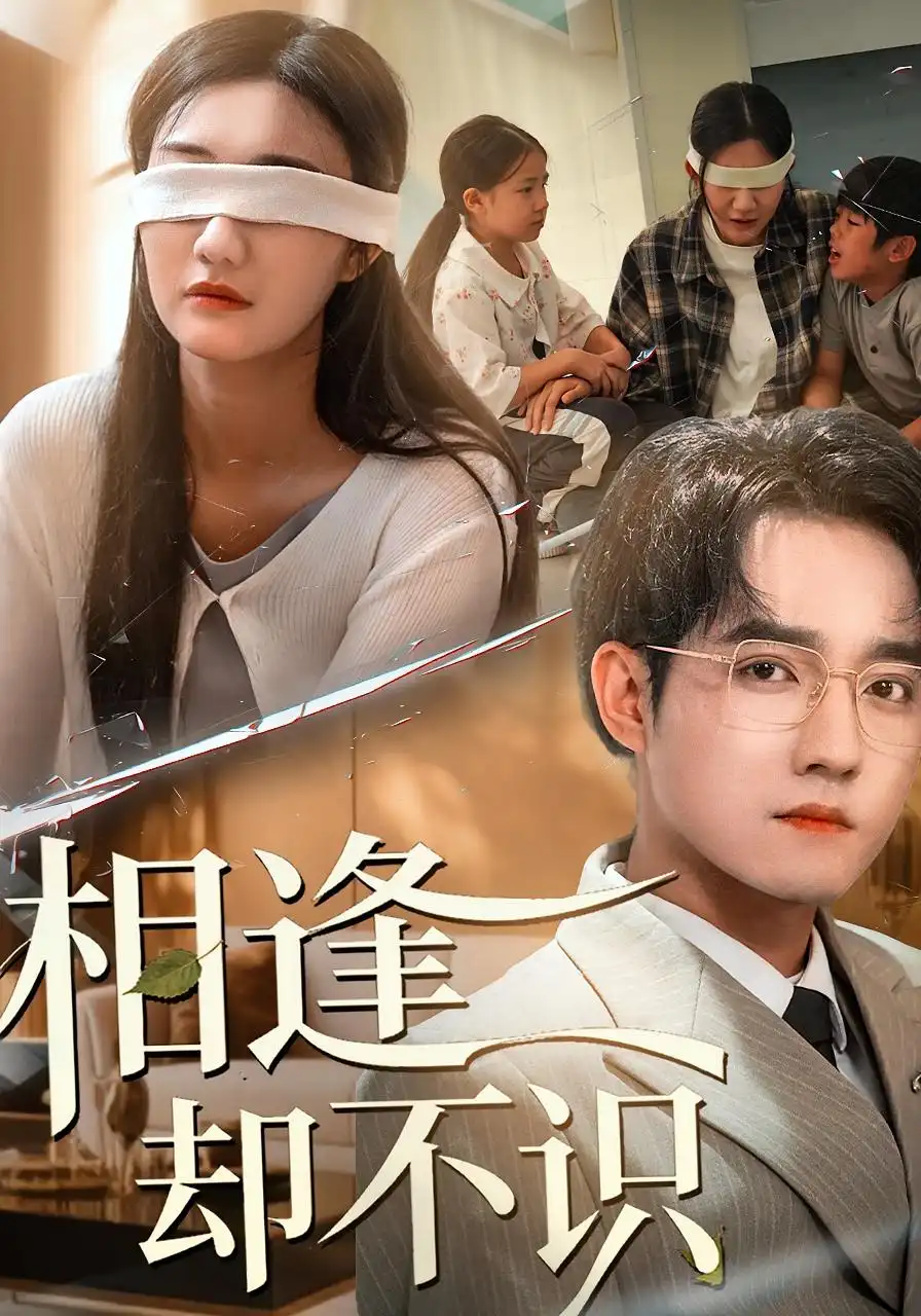 相逢却不识（77集）刘静阳&程汁海报