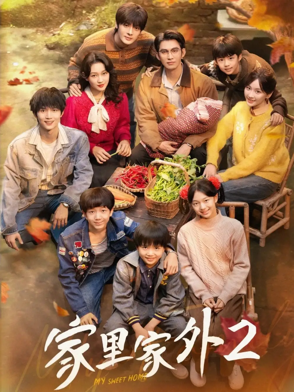 家里家外2(111集)王道铁&孙艺燃&王培延&邓灵枢&段美洋高清海报图片 家里家外2(111集)王道铁&孙艺燃&王培延&邓灵枢&段美洋海报