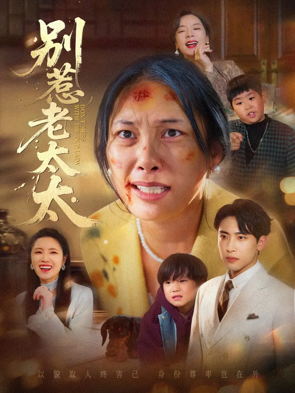 别惹老太太&谁说她没人撑腰(68集)陈柯宇&赵丹高清海报图片 别惹老太太&谁说她没人撑腰(68集)陈柯宇&赵丹海报