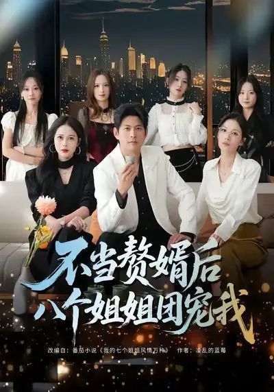 不当赘婿后八个姐姐团宠我（80集）李青霖＆丁丁海报