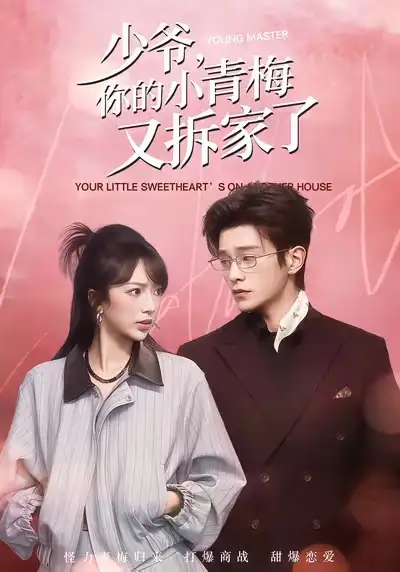 少爷，你的小青梅又拆家了（61集）张铭文＆武伯言海报