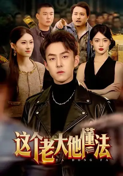 这个老大他懂法（100集）梁超＆董秋怡海报
