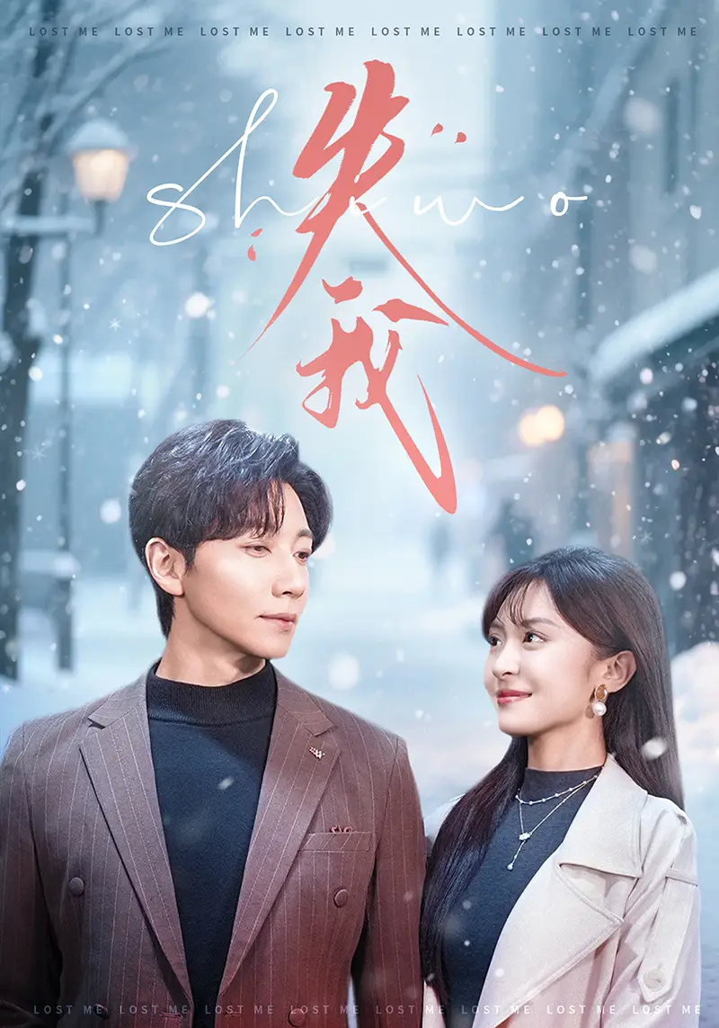失我（70集）宋晨＆程琳苗海报