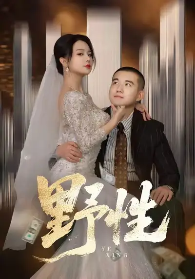 野性&分手后,顶头上司要嫁我(70集)阎论&梦露高清海报图片 野性&分手后,顶头上司要嫁我(70集)阎论&梦露海报