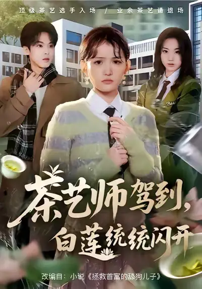 茶艺师驾到白莲统统闪开（65集）安晓洁&李泊翰海报