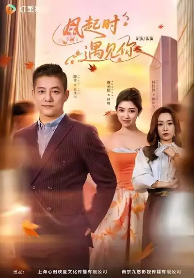 短剧《风起时遇见你》完整版免费在线观看