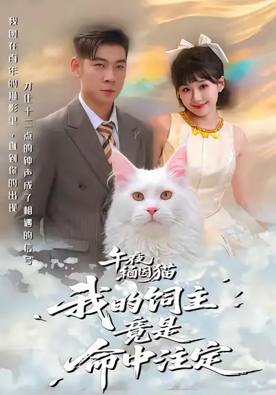 午夜缅因猫我的饲主竟是命中注定(66集)白龙&王之遥高清海报图片 午夜缅因猫我的饲主竟是命中注定(66集)白龙&王之遥海报