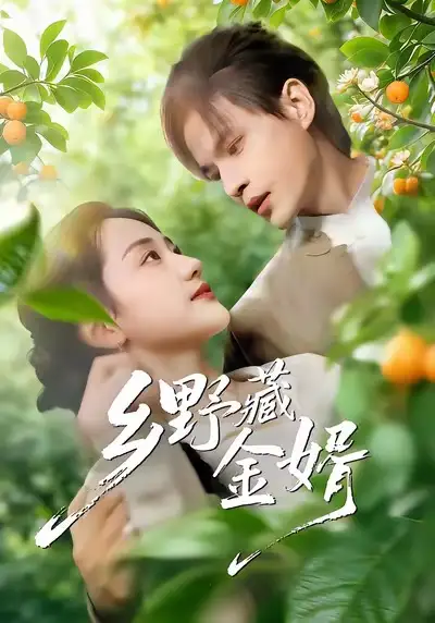 短剧《乡野藏金婿》全集在线观看免费