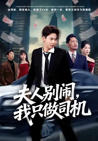 短剧《夫人别闹，我只做司机》完整版免费在线观看