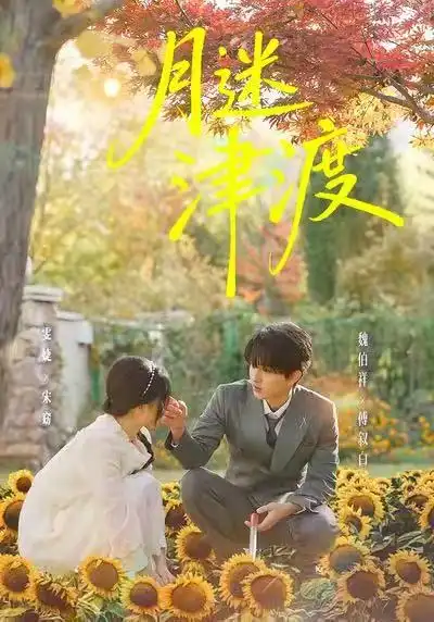 短剧《月迷津渡》全集在线观看免费