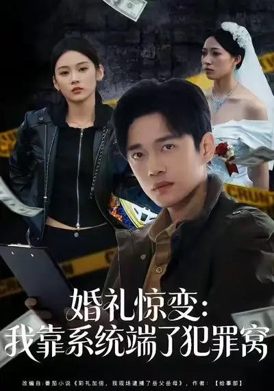 短剧《婚礼惊变：我靠系统端了犯罪窝》全集在线观看免费