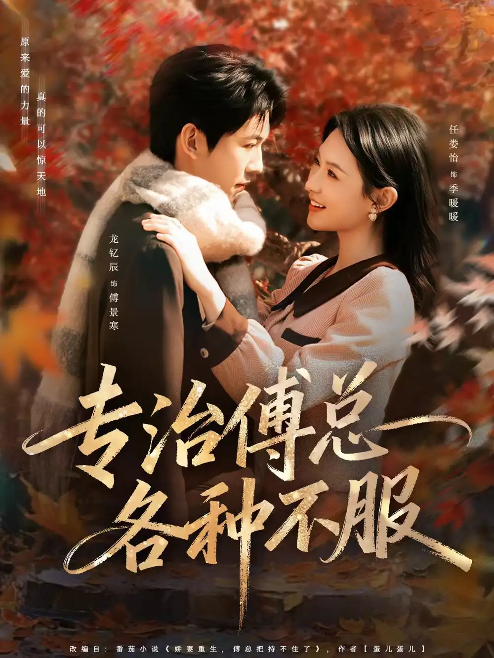 专治傅总各种不服（80集）龙钇辰＆任娄怡海报